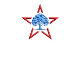 All Star Landscapes & Lawn Care