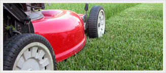 Lawn mowing and lawn care